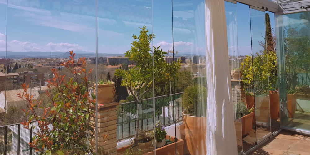 Plantas en verano_ consejos para cuidarlas del calor