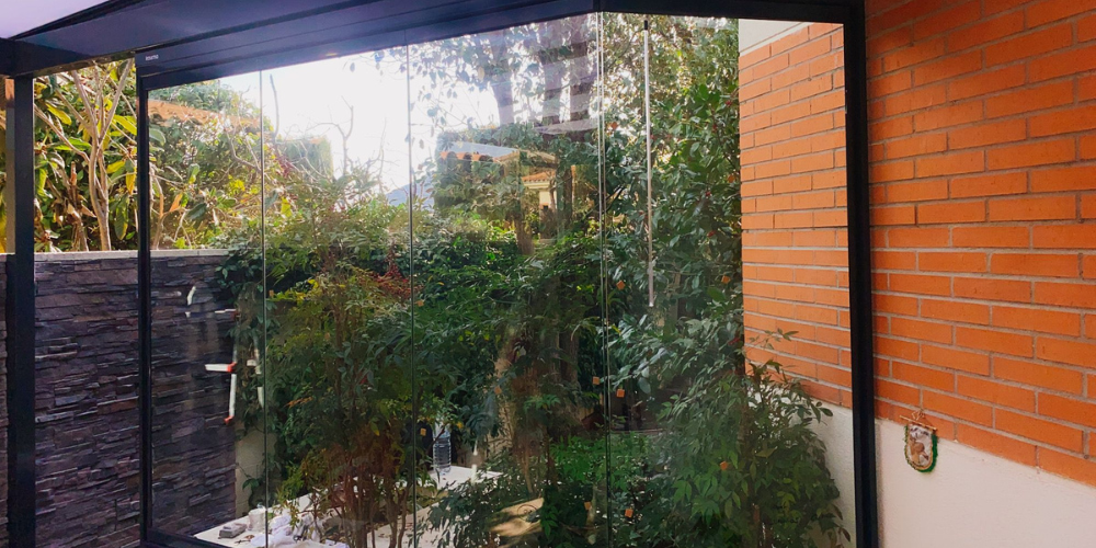 Plantas en verano_ consejos para cuidarlas del calor