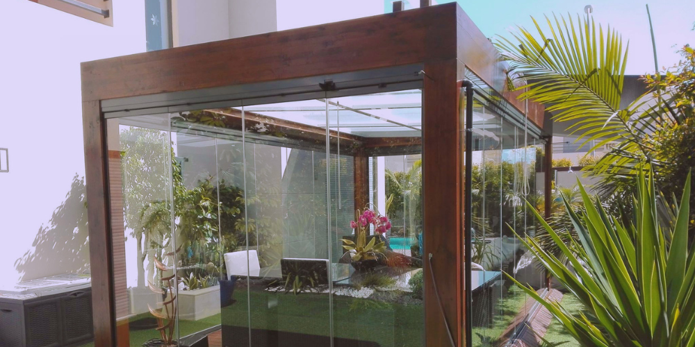 Plantas que purifican el aire en casa, guía completa