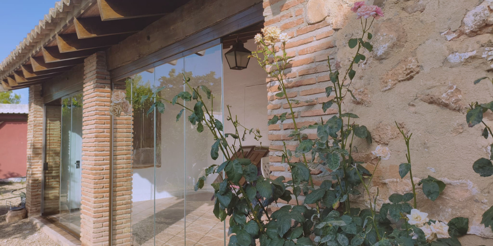 Plantas que purifican el aire en casa, guía completa