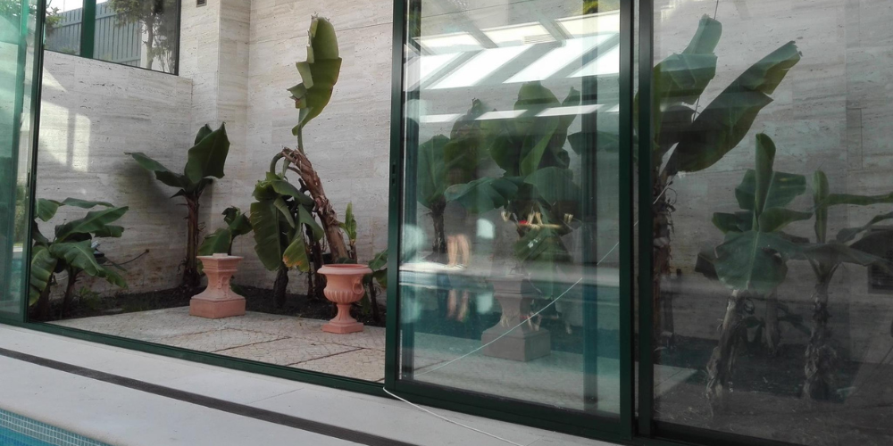 Que plantas para terrazas duran todo el año