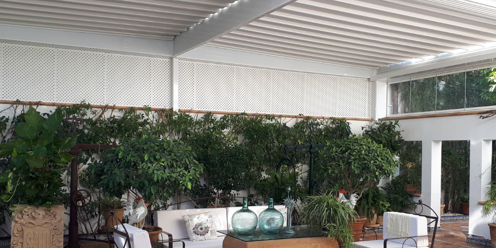 Huerto urbano en casa_ consejos prácticos para crearlo