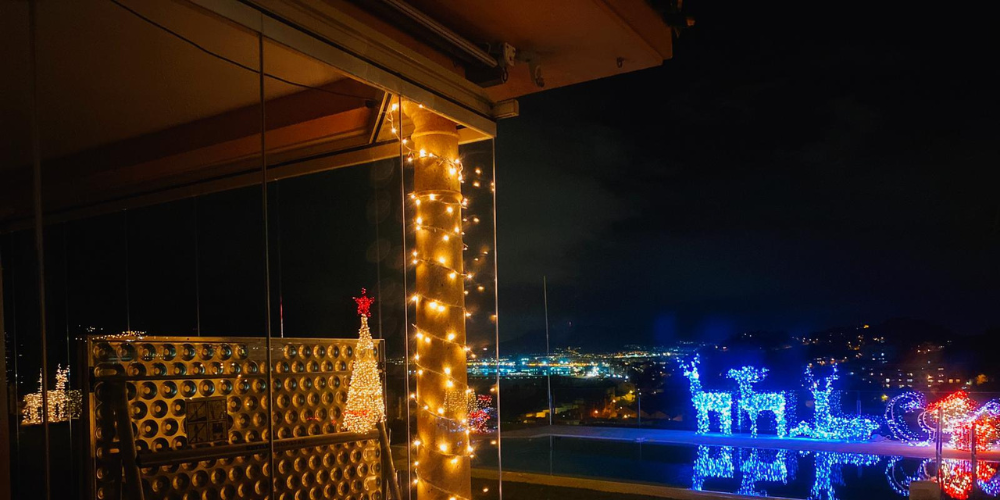 Luces de Navidad en el jardín_ ideas para decorar tu hogar